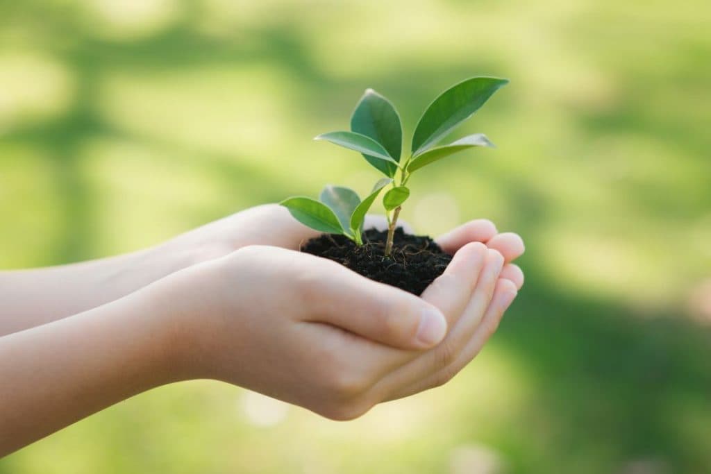 Educazione alla sostenibilità ambientale