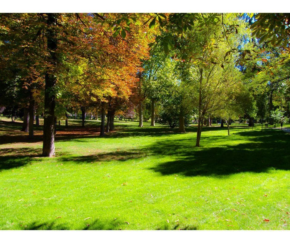 Progetto "Un parco in ogni comune"